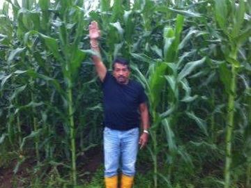 Vendo finca agrícola en Balzar 916.4 hectáreas dotada de sistema de riego de primer orden