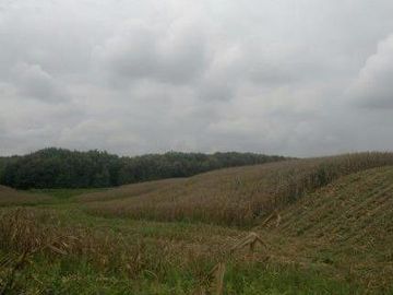 Vendo finca agrícola en Balzar 916.4 hectáreas dotada de sistema de riego de primer orden