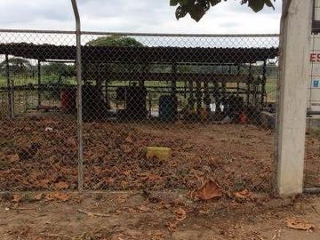 Vendo finca agrícola en Balzar 916.4 hectáreas dotada de sistema de riego de primer orden