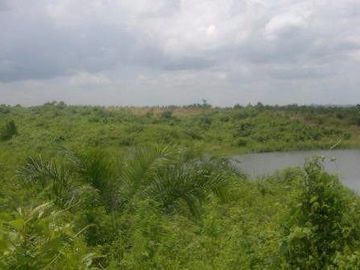 Vendo finca agrícola en Balzar 916.4 hectáreas dotada de sistema de riego de primer orden