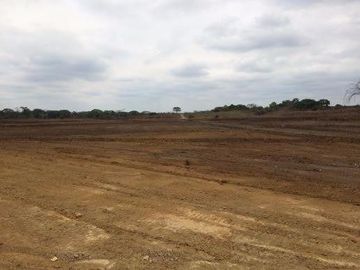 Vendo finca agrícola en Balzar 916.4 hectáreas dotada de sistema de riego de primer orden