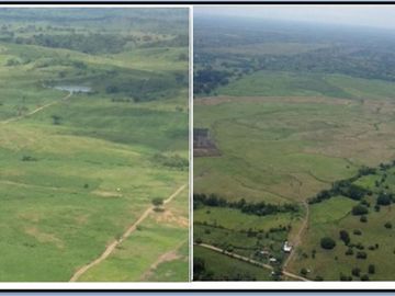 Vendo finca agrícola en Balzar 916.4 hectáreas dotada de sistema de riego de primer orden