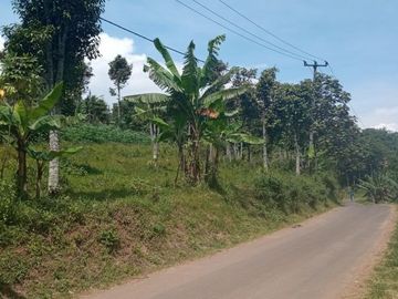 Tanah Bandung Cicalengka 50jtaan dapat 97meter