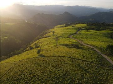 VENTA LOTE TARSO, UNIDAD CERRADA, SUROESTE ANTIOQUEÑO