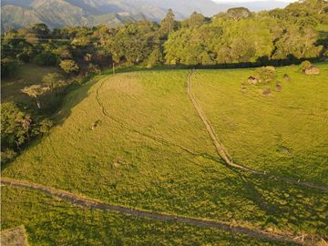 VENTA LOTE TARSO, UNIDAD CERRADA, SUROESTE ANTIOQUEÑO