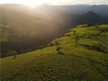 VENTA LOTE TARSO, UNIDAD CERRADA, SUROESTE ANTIOQUEÑO