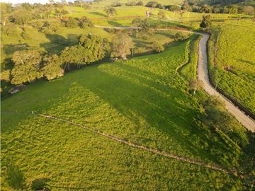 VENTA LOTE TARSO, UNIDAD CERRADA, SUROESTE ANTIOQUEÑO