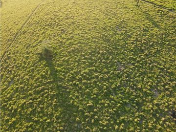 VENTA LOTE TARSO, UNIDAD CERRADA, SUROESTE ANTIOQUEÑO