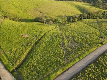 VENTA LOTE TARSO, UNIDAD CERRADA, SUROESTE ANTIOQUEÑO