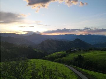 VENTA LOTE TARSO, UNIDAD CERRADA, SUROESTE ANTIOQUEÑO