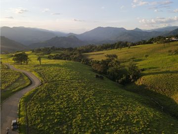VENTA LOTE TARSO, UNIDAD CERRADA, SUROESTE ANTIOQUEÑO