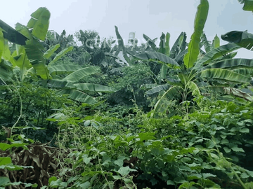 Dijual Tanah Di Perumahan Komplek Duta Bintaro