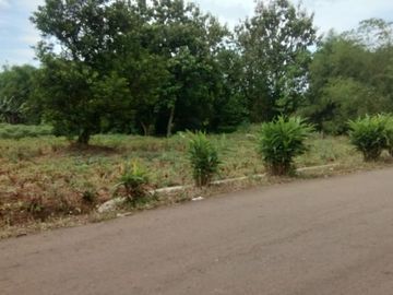 Tanah Ranca Bungur Bogor, Dekat Wisata Alam Candali,SHM Pasti, Cicil 12x