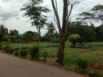 Tanah Ranca Bungur Bogor, Dekat Wisata Alam Candali,SHM Pasti, Cicil 12x