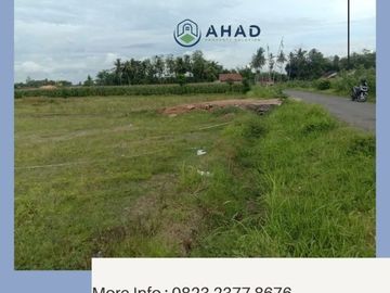Tanah Dekat Pemukiman Penduduk di Jenggawah, Jember