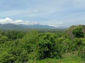 Tanah kebon kosong di pinggir jalan utama provinsi seririt singaraja