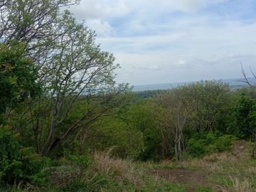 Tanah kebon kosong di pinggir jalan utama provinsi seririt singaraja