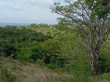 Tanah kebon kosong di pinggir jalan utama provinsi seririt singaraja