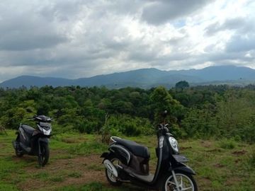 Tanah kebon kosong di pinggir jalan utama provinsi seririt singaraja