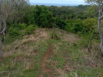 Tanah kebon kosong di pinggir jalan utama provinsi seririt singaraja