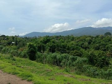 Tanah kebon kosong di pinggir jalan utama provinsi seririt singaraja