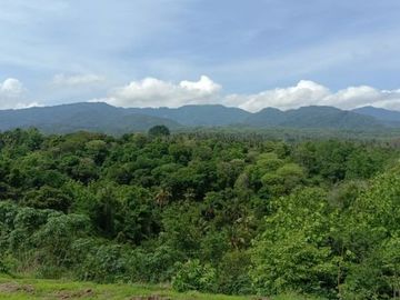 Tanah kebon kosong di pinggir jalan utama provinsi seririt singaraja