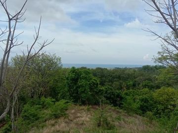 Tanah kebon kosong di pinggir jalan utama provinsi seririt singaraja