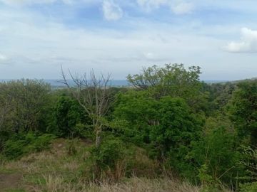 Tanah kebon kosong di pinggir jalan utama provinsi seririt singaraja