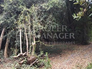 Parcela en venta en San Carlos