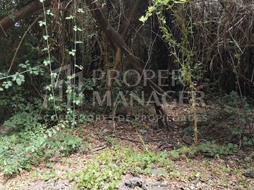 Parcela en venta en San Carlos