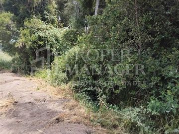 Parcela en venta en San Carlos
