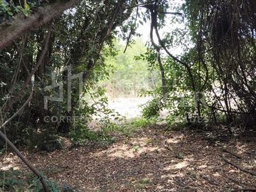 Parcela en venta en San Carlos