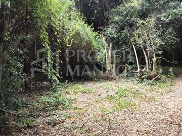 Parcela en venta en San Carlos