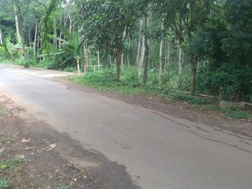 Tanah Dijual Lokasi Strategis Dekat Unnes Gunung Pati Semarang