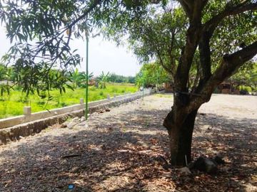 Di Jual Rumah Butuh Terjual Cepat Siap Huni 4 Kamar di Jatibarang, Indramayu