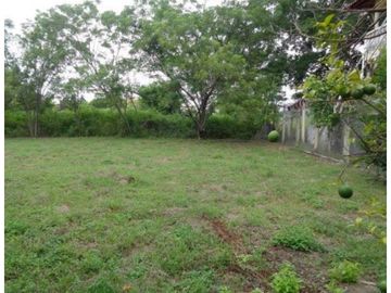 VENDO TERRENO EN CHAME, NUEVA GORGONA A 200 MTS DEL MAR (2)