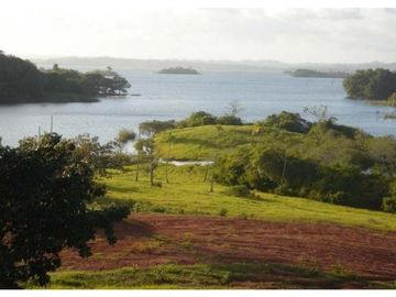 Venta: Finca de 100 Hectáreas frente al Lago Gatún