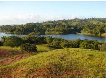 Venta: Finca de 100 Hectáreas frente al Lago Gatún