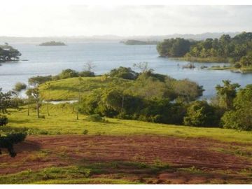 Venta: Finca de 100 Hectáreas frente al Lago Gatún