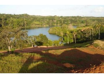 Venta: Finca de 100 Hectáreas frente al Lago Gatún