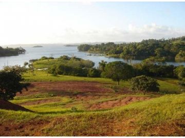 Venta: Finca de 100 Hectáreas frente al Lago Gatún