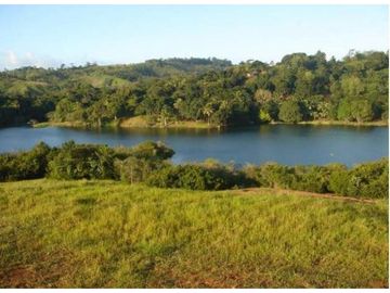 Venta: Finca de 100 Hectáreas frente al Lago Gatún