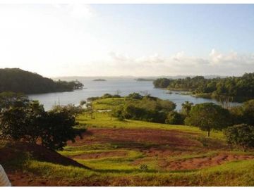 Venta: Finca de 100 Hectáreas frente al Lago Gatún