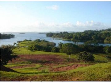 Venta: Finca de 100 Hectáreas frente al Lago Gatún