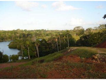 Venta: Finca de 100 Hectáreas frente al Lago Gatún