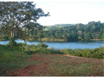 Venta: Finca de 100 Hectáreas frente al Lago Gatún