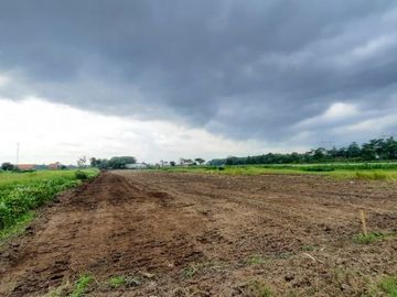 Kavling Murah Tegal, Dekat Pasar Banjaran, Adiwerna
