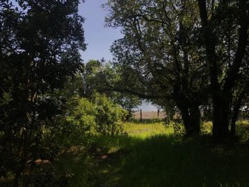 Casa en Aeródromo  Calcurrupe   Lago Ranco