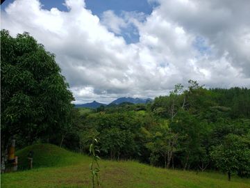 Finca de 20 Hectáreas con casa en venta en Penonomé, Chiguirí Arriba