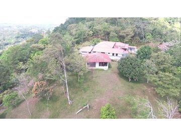 Finca de 20 Hectáreas con casa en venta en Penonomé, Chiguirí Arriba